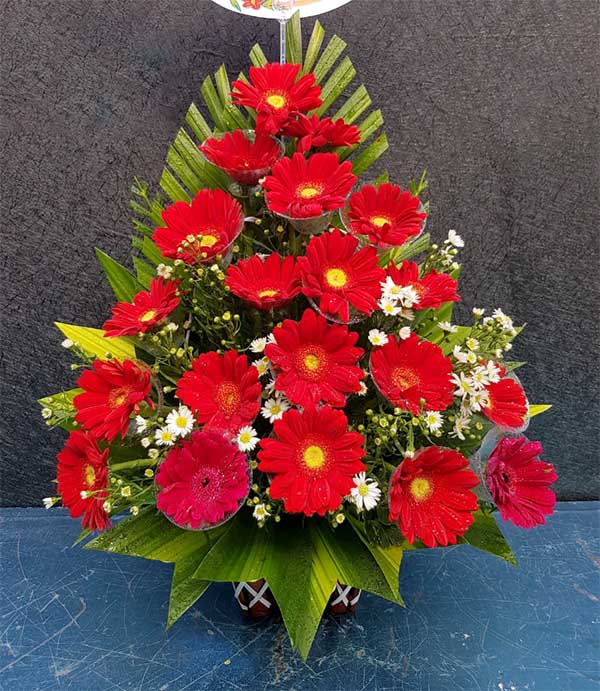 Hoa đồng tiền tết