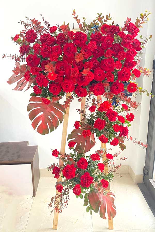Hoa hồng đỏ chúc mừng khai giảng