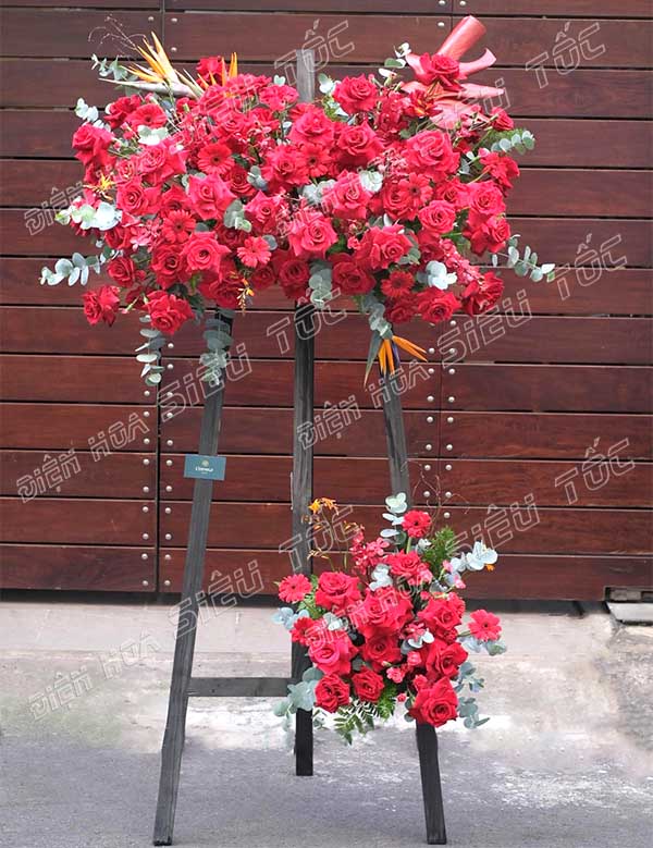 Hoa hồng đỏ khai trương