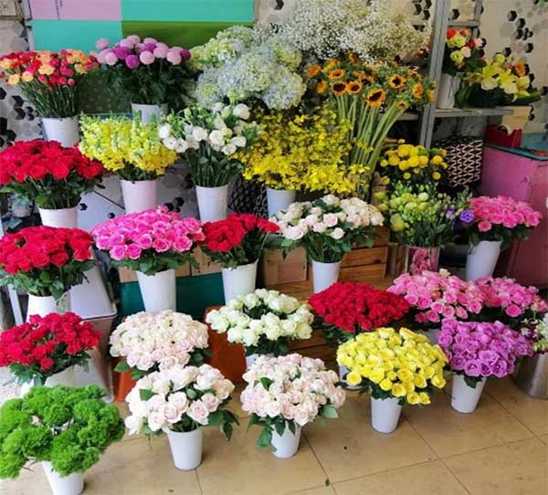 Nguồn hoa nguyên liệu dồi dào