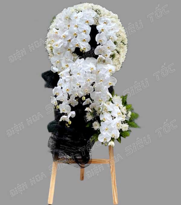 Kệ hoa cúc trắng phối với lan hồ điệp