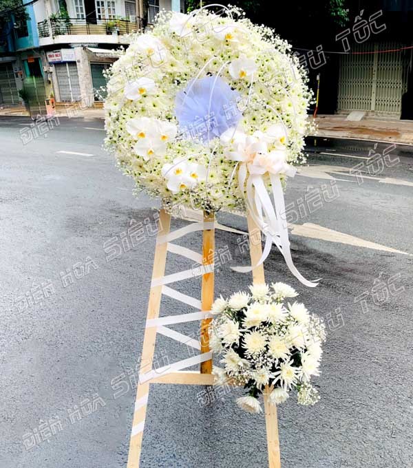 Vòng hoa cúc trắng