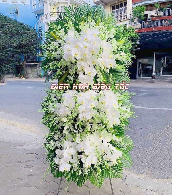 Kệ hoa phối lan hồ điệp trắng
