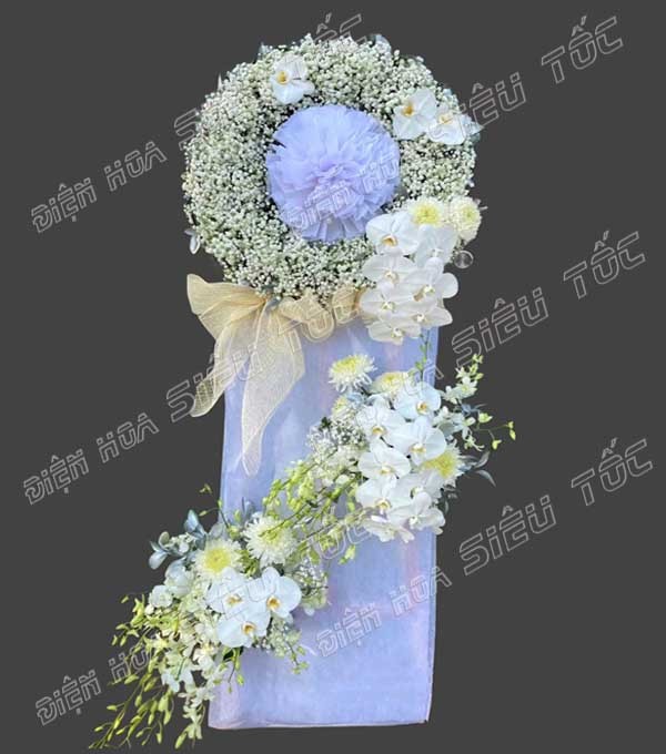 Kệ hoa baby trắng phối lan hồ điệp trắng