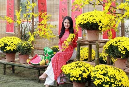Các Loại Hoa Mang Ý Nghĩa Nhất Cho Ngày Tết